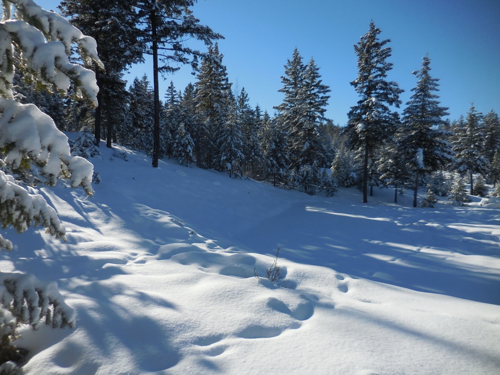 Lot 2 Annerly Ferry Road, Rexford, MT 59930