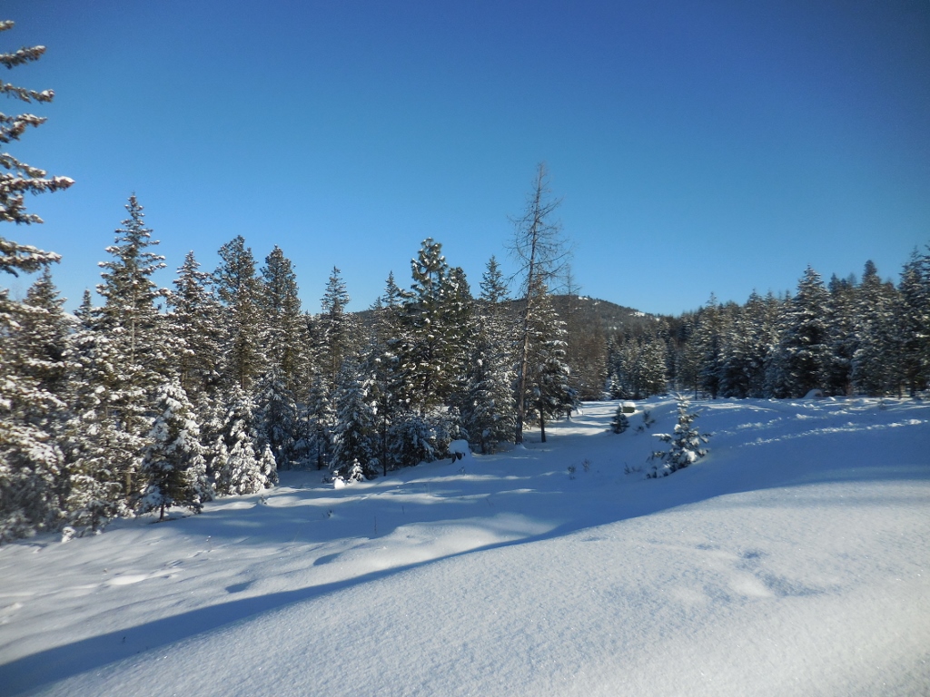 Lot 6 Annerly Ferry Road, Rexford, MT 59930