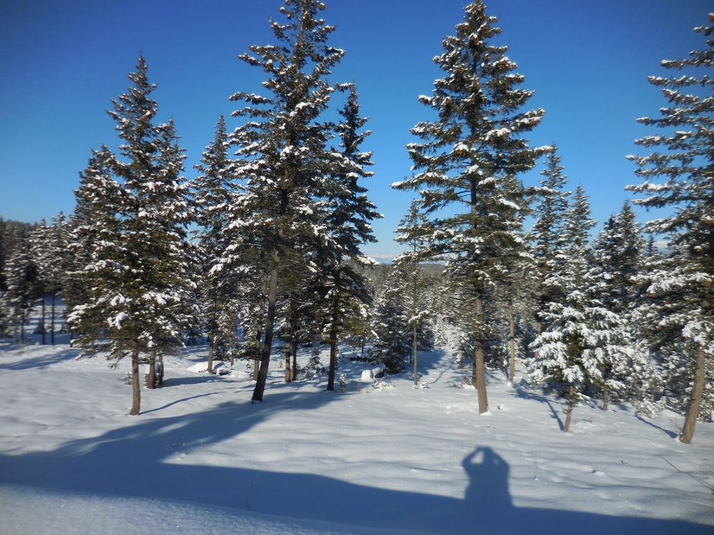 Lot 6 Annerly Ferry Road, Rexford, MT 59930