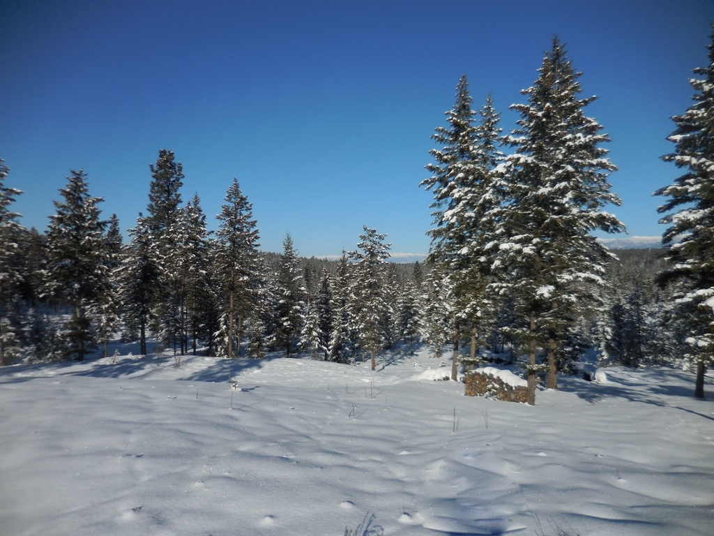Lot 6 Annerly Ferry Road, Rexford, MT 59930
