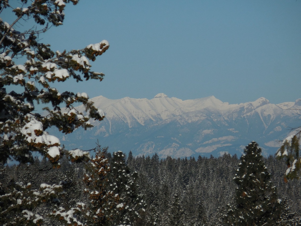 Lot 6 Annerly Ferry Road, Rexford, MT 59930