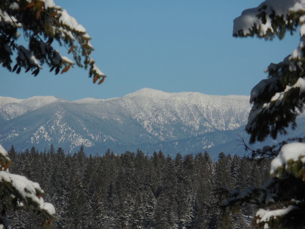 Lot 6 Annerly Ferry Road, Rexford, MT 59930