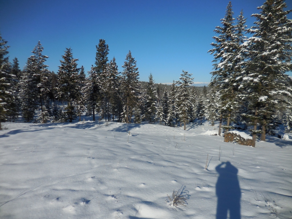 Lot 6 Annerly Ferry Road, Rexford, MT 59930