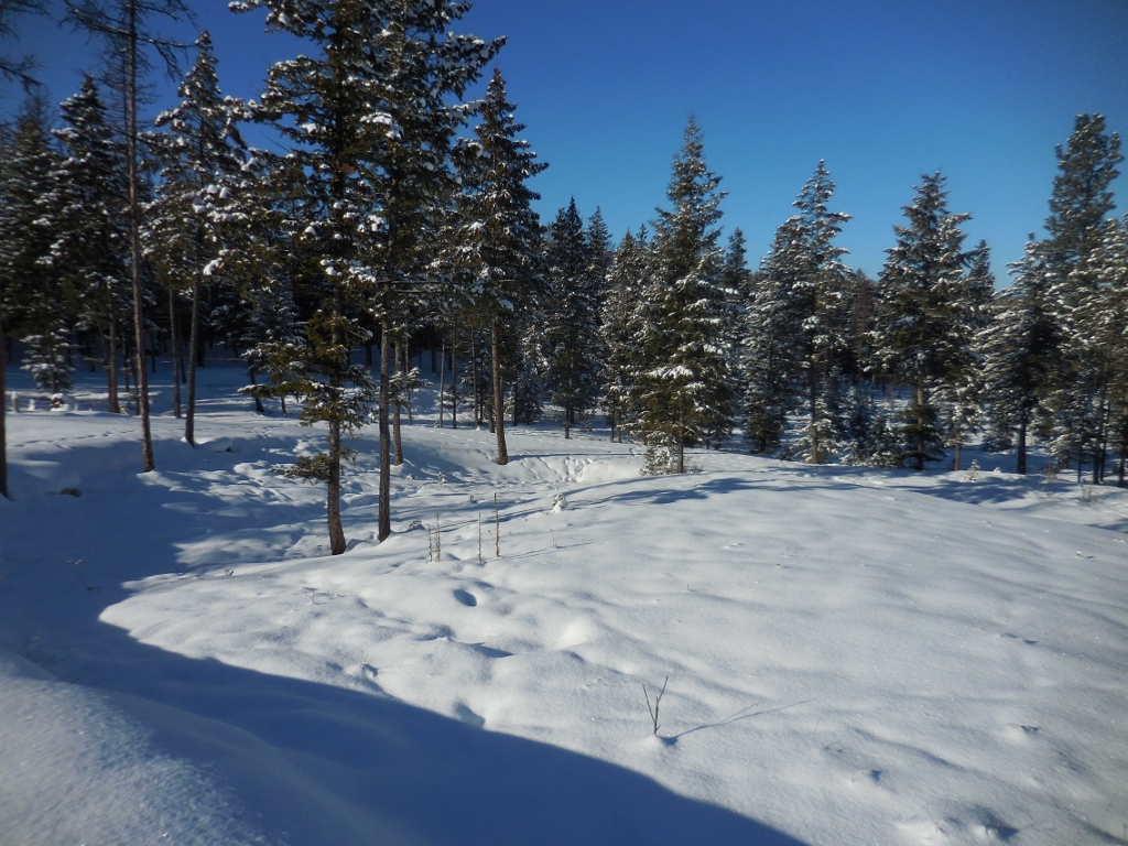 Lot 6 Annerly Ferry Road, Rexford, MT 59930