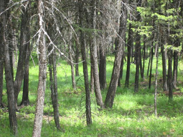 LOT 1 MOONSHINE MOUNTAIN TRAIL, Rexford, MT 59930