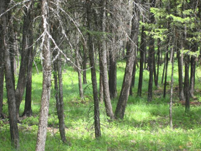LOT 1 MOONSHINE MOUNTAIN TRAIL, Rexford, MT 59930
