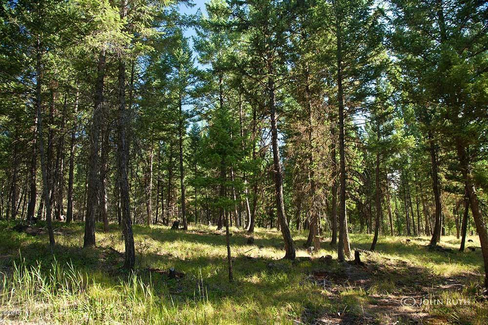 Nhn Gray Wolf Trail, Rexford, MT 59930