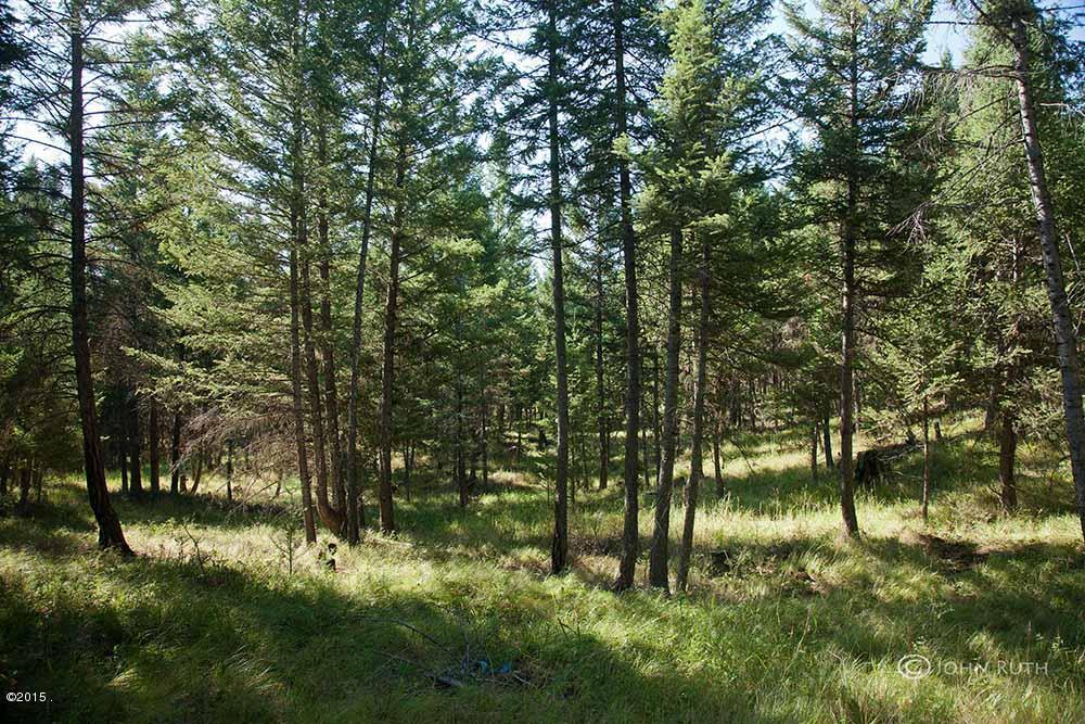 Nhn Gray Wolf Trail, Rexford, MT 59930