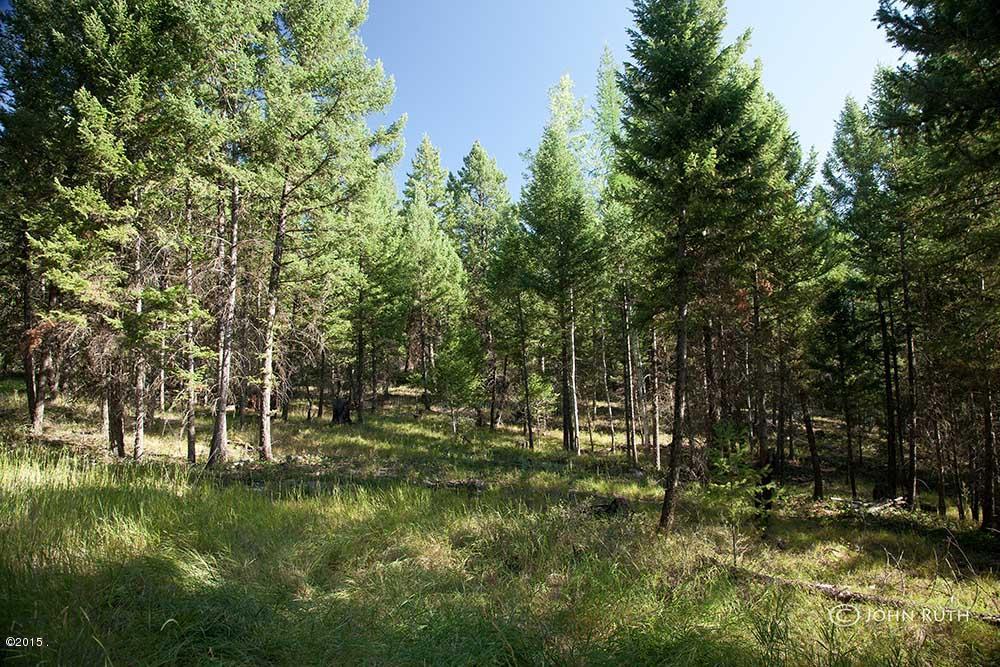 Nhn Gray Wolf Trail, Rexford, MT 59930