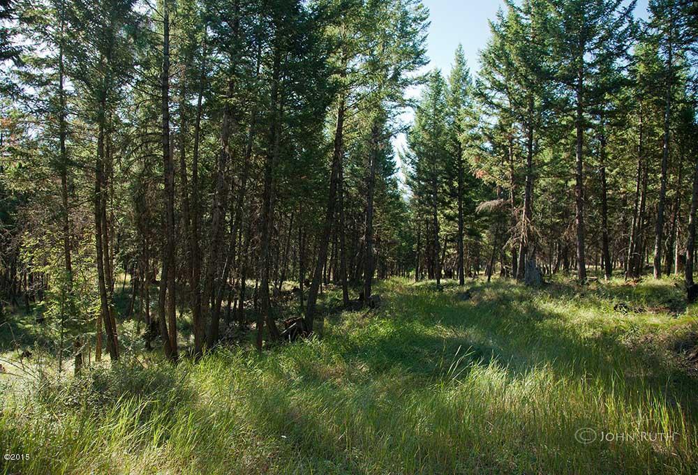 Nhn Gray Wolf Trail, Rexford, MT 59930