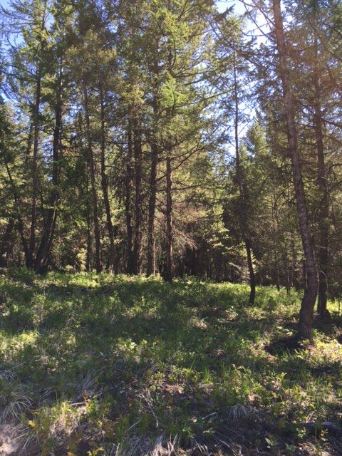LOT 1 MOONSHINE MOUNTAIN TRAIL, Rexford, MT 59930