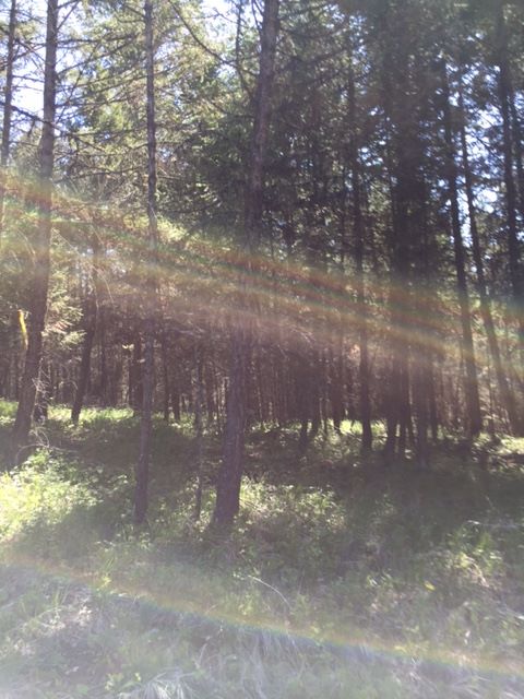 LOT 1 MOONSHINE MOUNTAIN TRAIL, Rexford, MT 59930