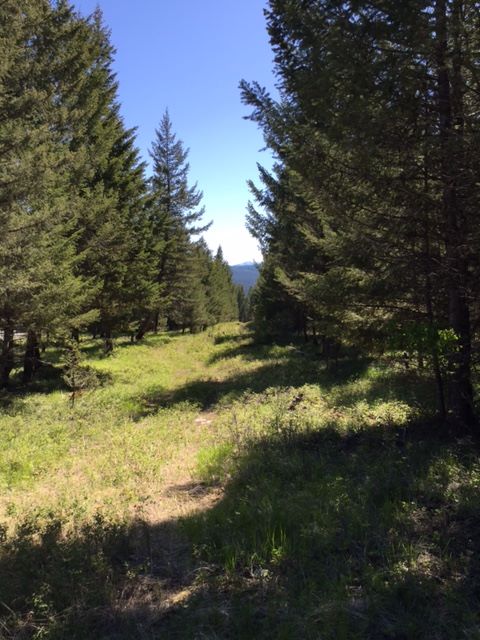 LOT 1 MOONSHINE MOUNTAIN TRAIL, Rexford, MT 59930