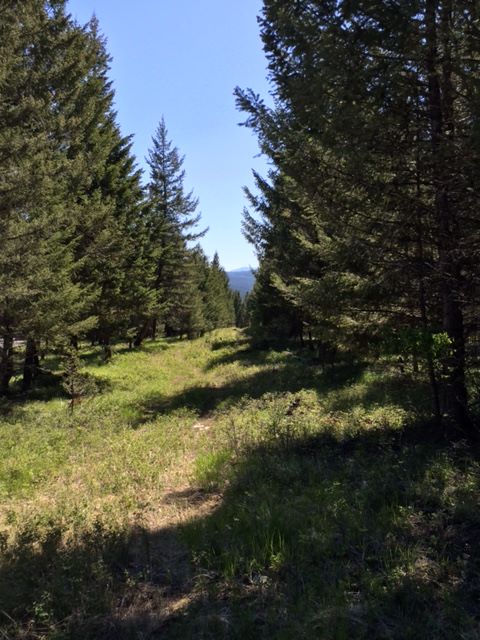 LOT 1 MOONSHINE MOUNTAIN TRAIL, Rexford, MT 59930