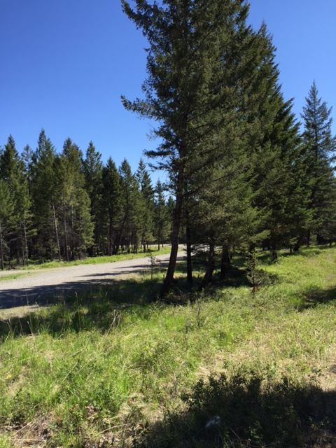 LOT 1 MOONSHINE MOUNTAIN TRAIL, Rexford, MT 59930