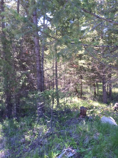 LOT 1 MOONSHINE MOUNTAIN TRAIL, Rexford, MT 59930