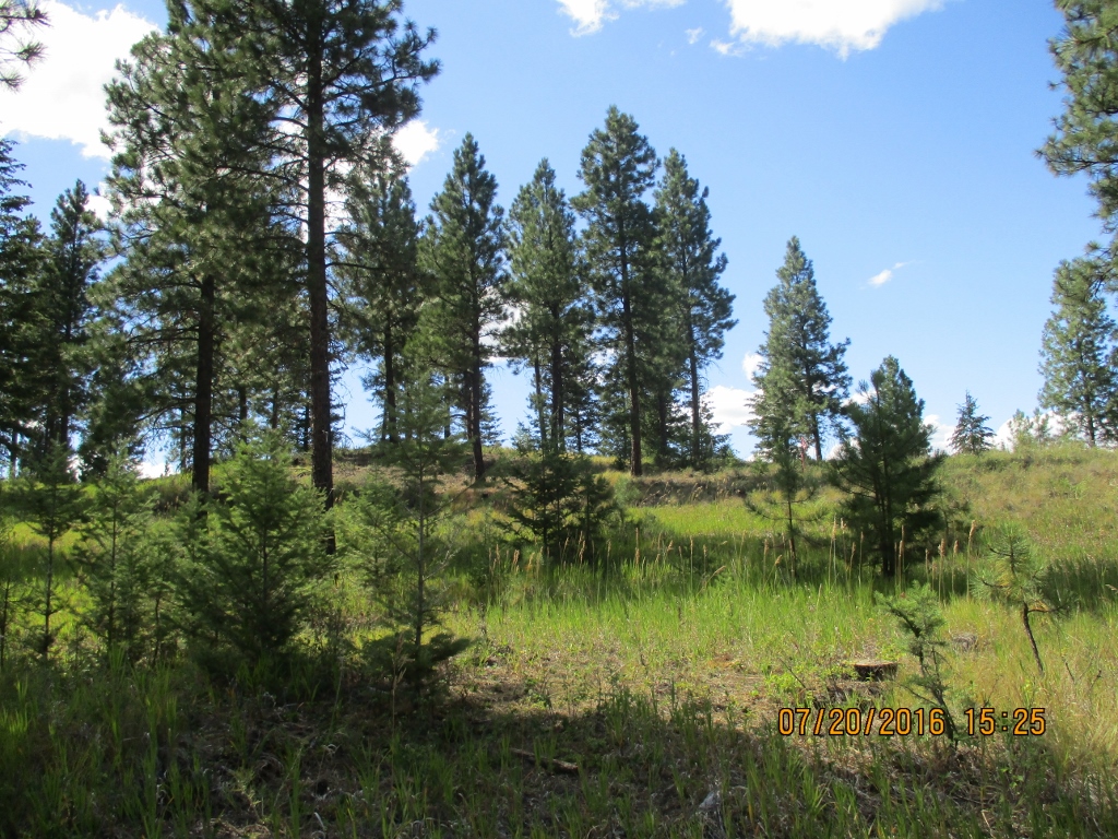 NHN SALMON DRIVE, Rexford, MT 59930