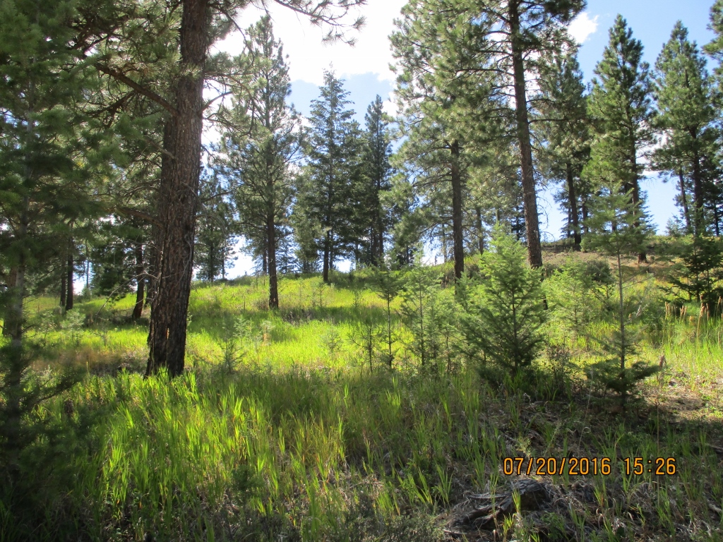 NHN SALMON DRIVE, Rexford, MT 59930