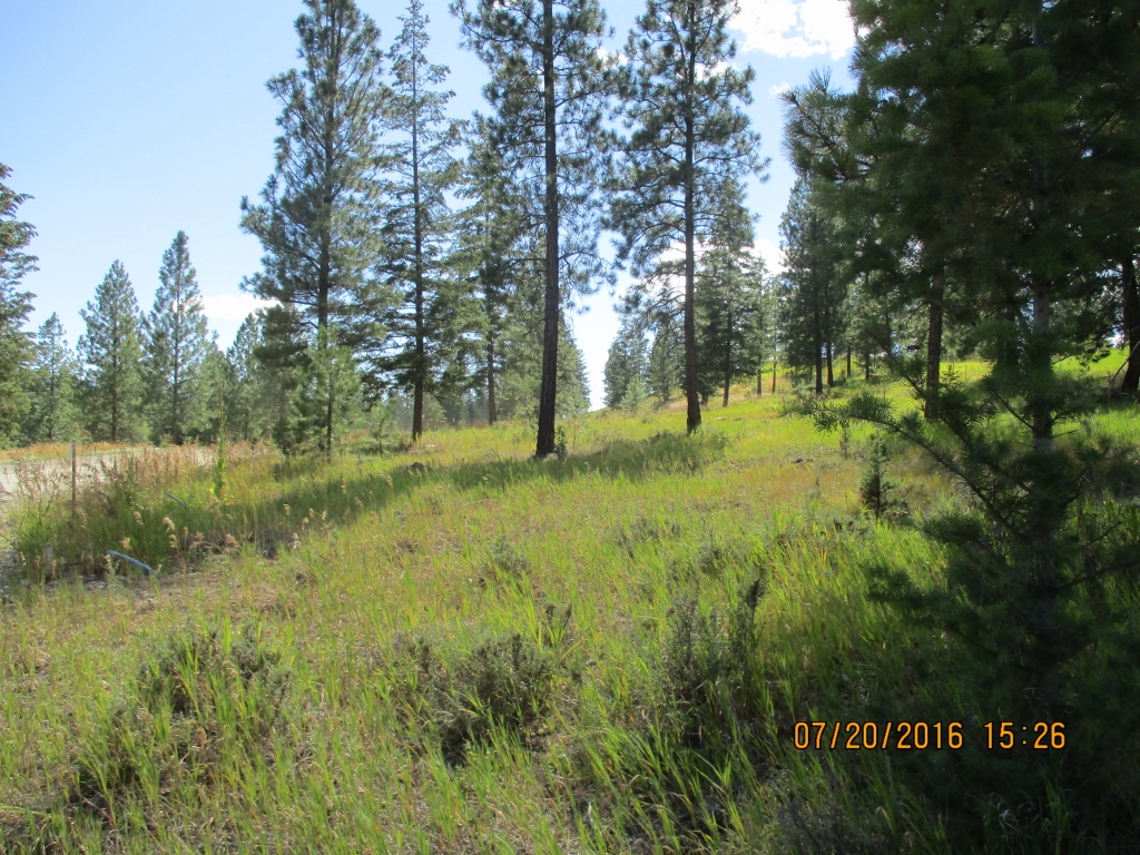 NHN SALMON DRIVE, Rexford, MT 59930