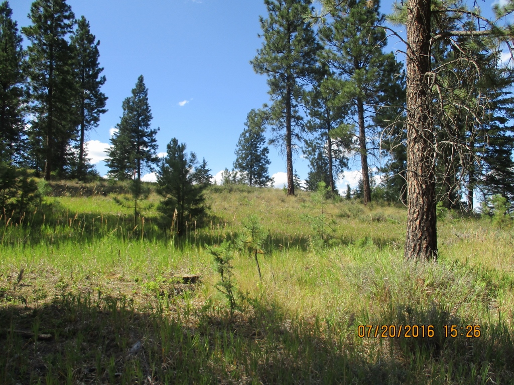 NHN SALMON DRIVE, Rexford, MT 59930