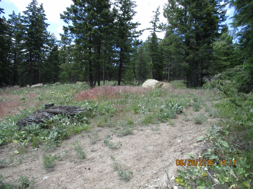 NHN BROOKE'S ELK DRIVE, Rexford, MT 59930