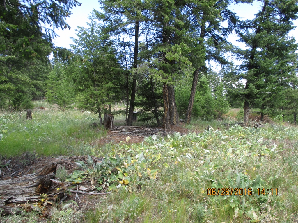 NHN BROOKE'S ELK DRIVE, Rexford, MT 59930