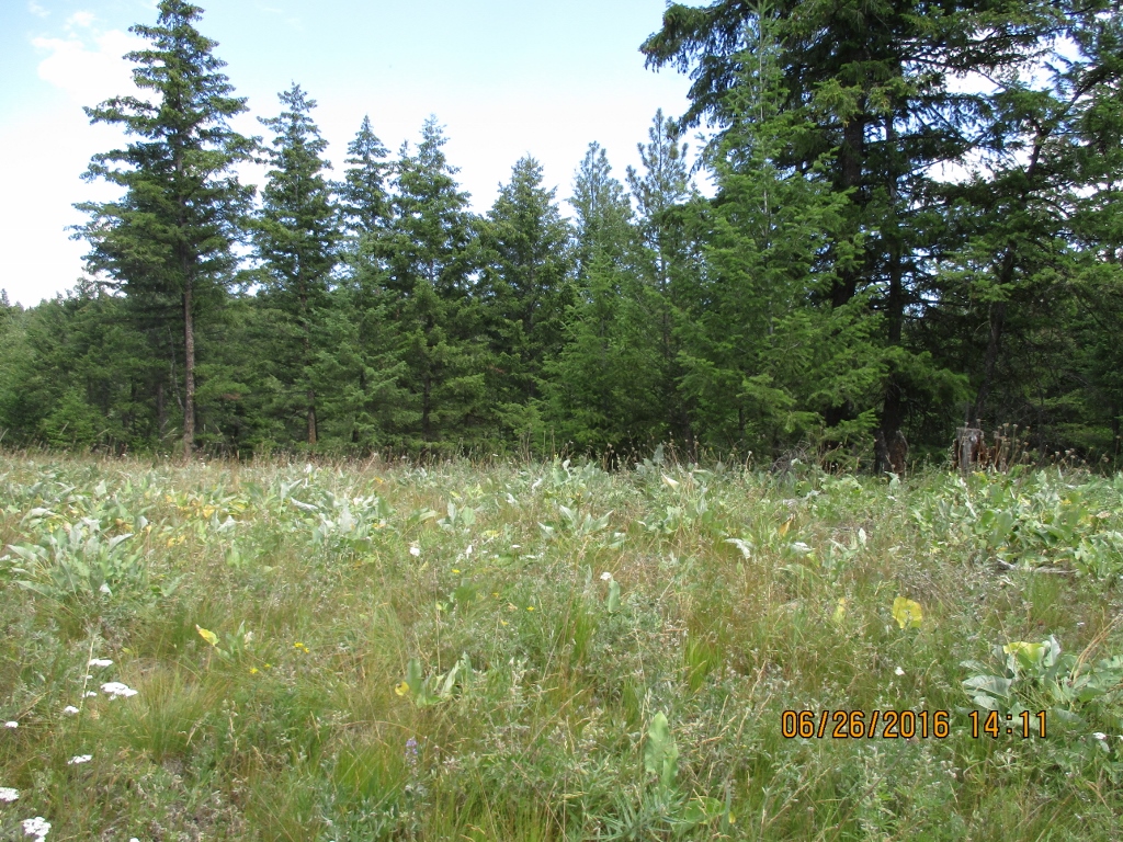 NHN BROOKE'S ELK DRIVE, Rexford, MT 59930