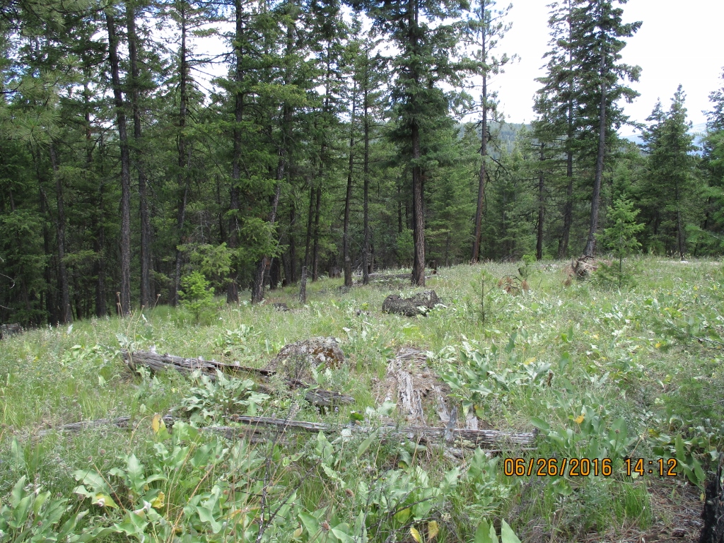NHN BROOKE'S ELK DRIVE, Rexford, MT 59930