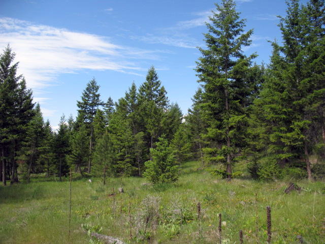 Lot 3 Duke&#039;s Vista Ridge, Rexford, MT 59930