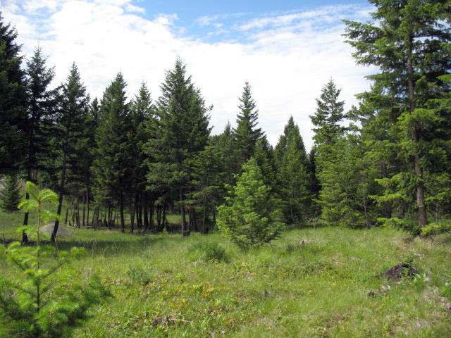 Lot 3 Duke's Vista Ridge, Rexford, MT 59930