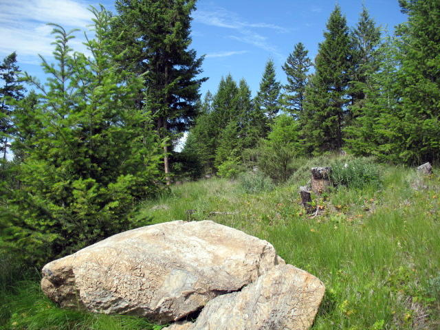 Lot 3 Duke's Vista Ridge, Rexford, MT 59930