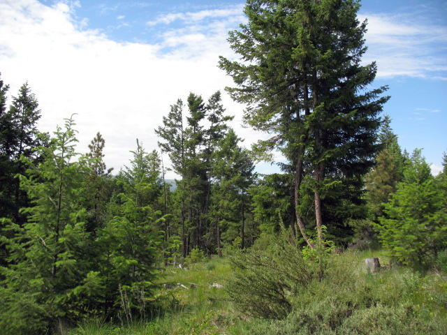 Lot 3 Duke's Vista Ridge, Rexford, MT 59930