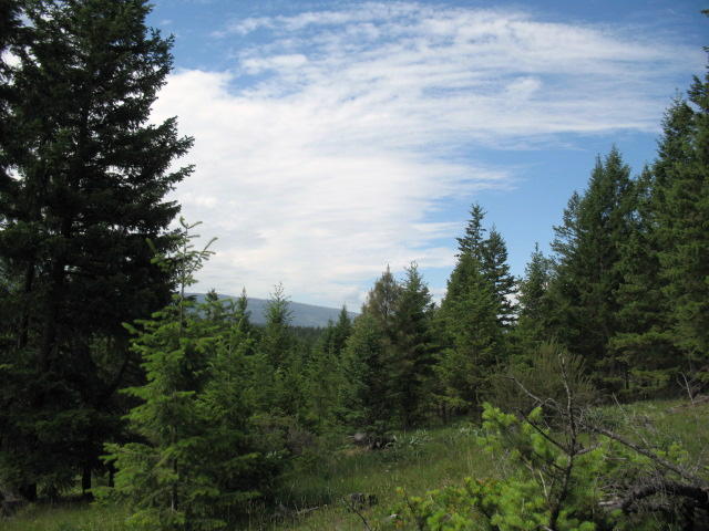 Lot 3 Duke's Vista Ridge, Rexford, MT 59930