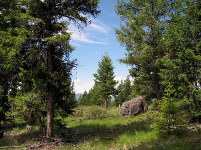 Lot 3 Duke's Vista Ridge, Rexford, MT 59930