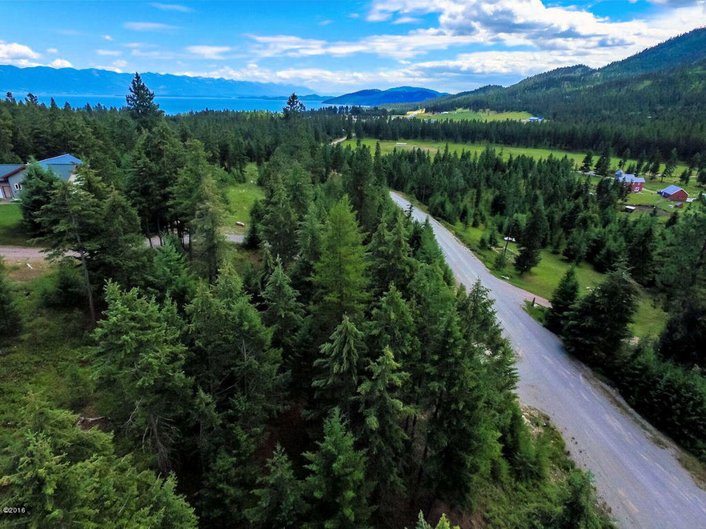 Nhn Swan View Road, Rollins, MT 59931