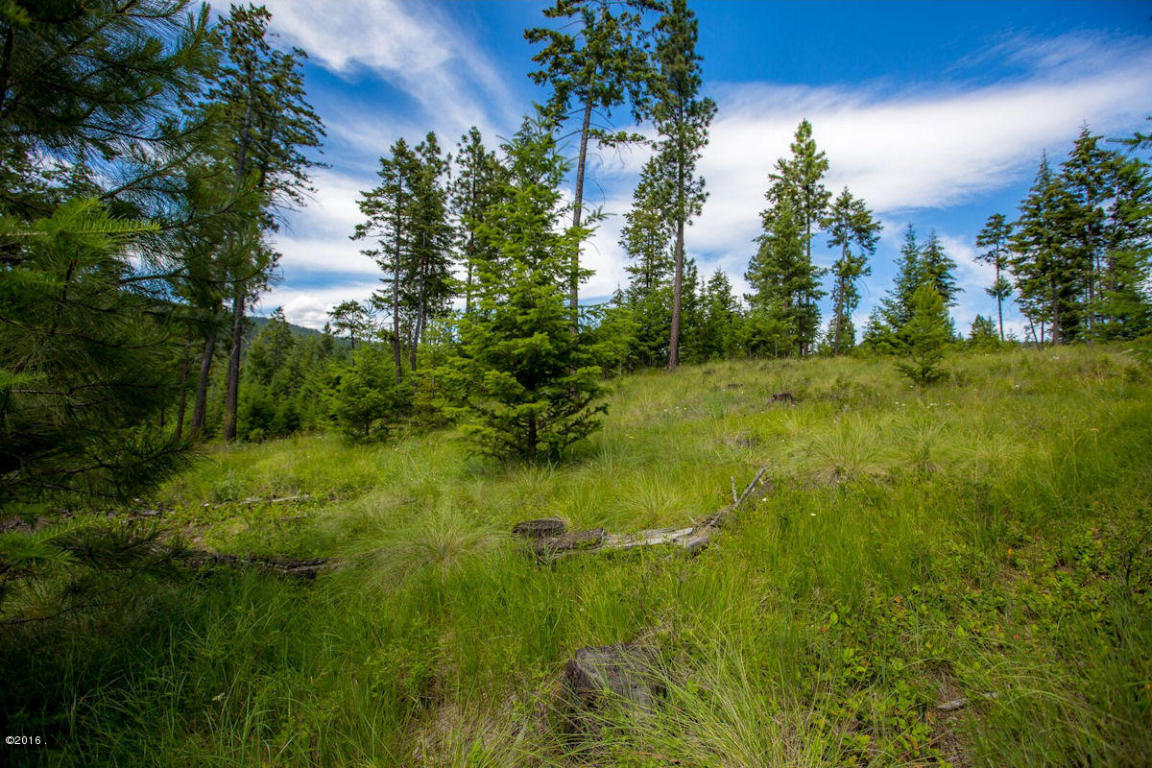 Nhn Swan View Road, Rollins, MT 59931