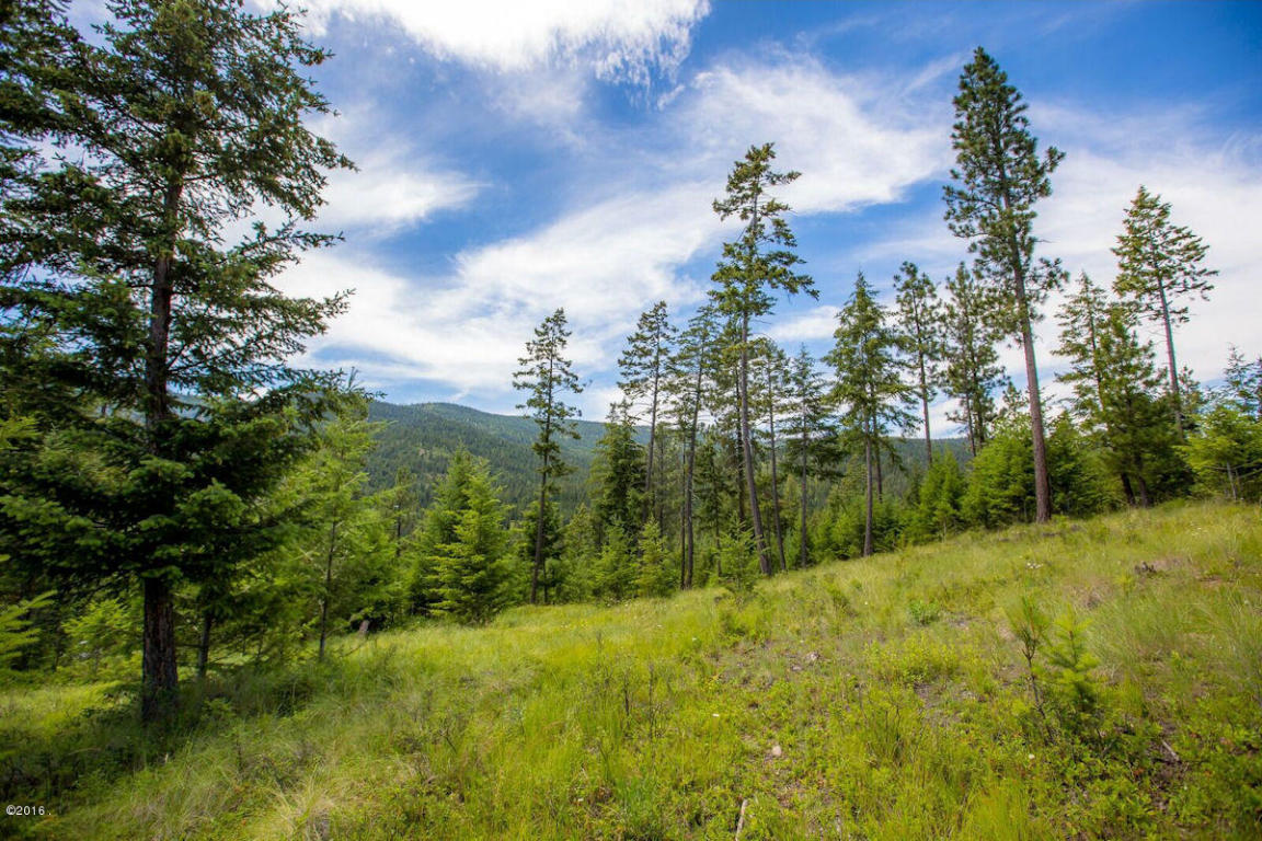 Nhn Swan View Road, Rollins, MT 59931