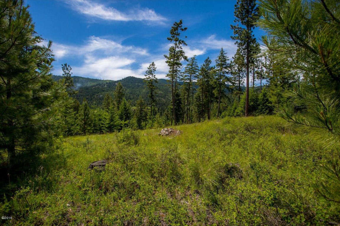 Nhn Swan View Road, Rollins, MT 59931
