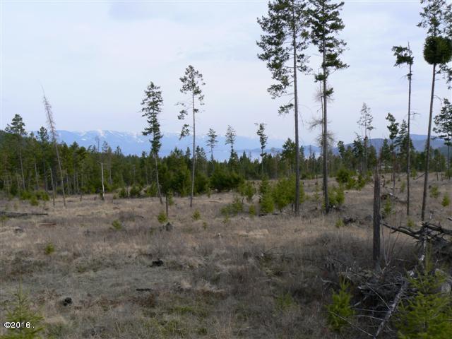 20230 Swan View Road, Rollins, MT 59931