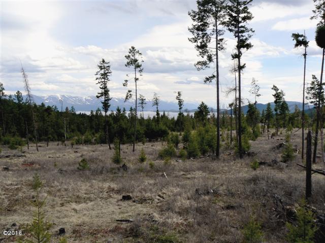 20230 Swan View Road, Rollins, MT 59931