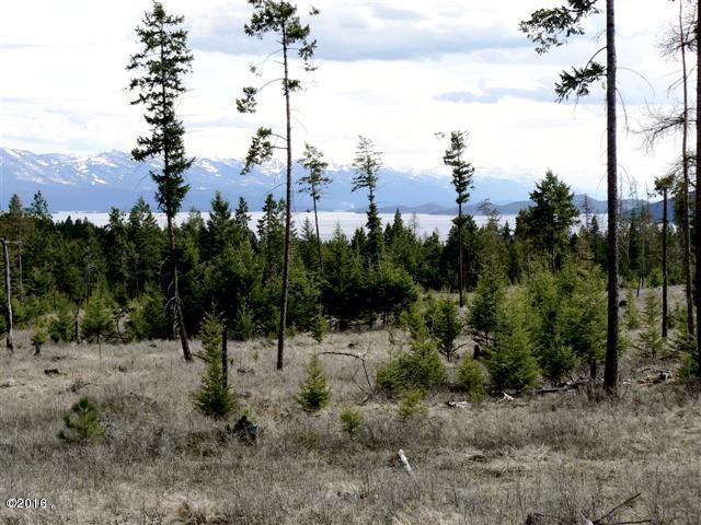 20230 Swan View Road, Rollins, MT 59931