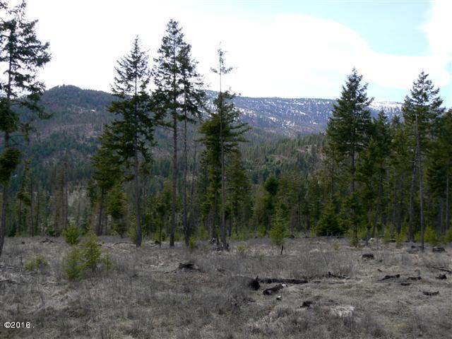 20230 Swan View Road, Rollins, MT 59931