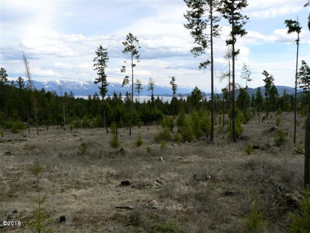 20230 Swan View Road, Rollins, MT 59931