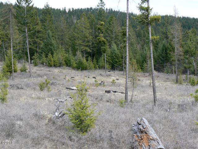 20230 Swan View Road, Rollins, MT 59931