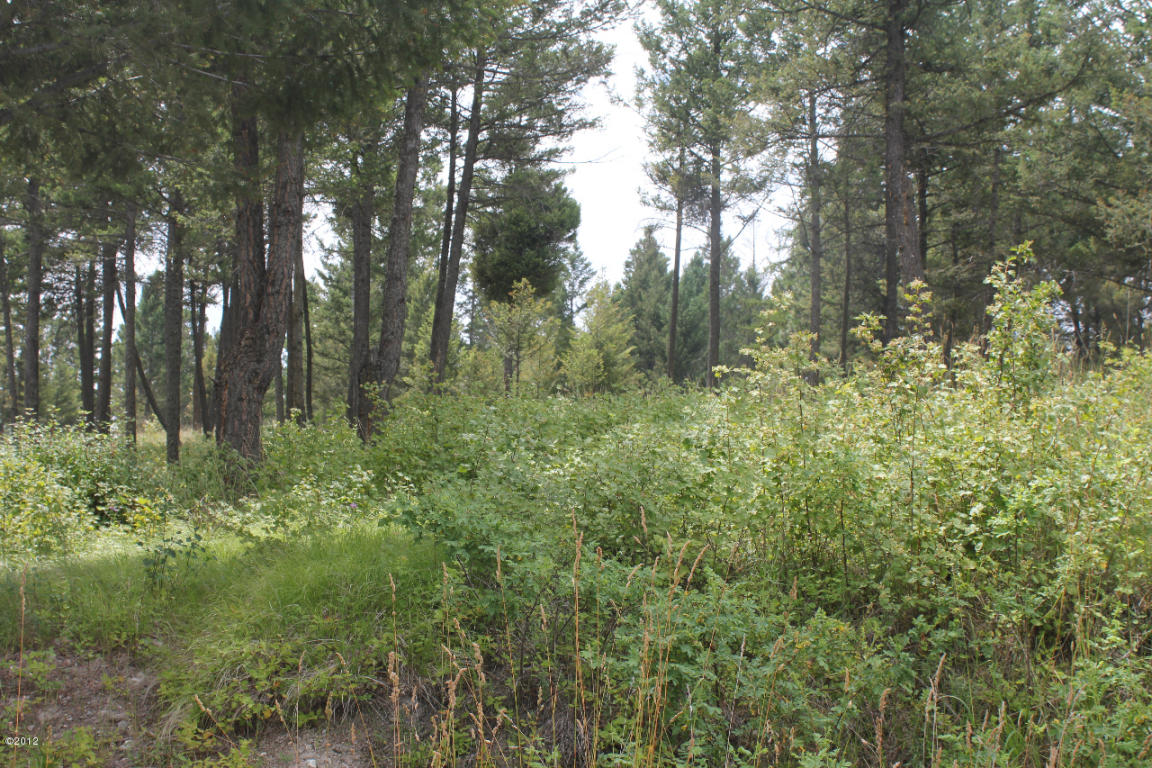 130 Valley Vista Drive, Somers, MT 59932