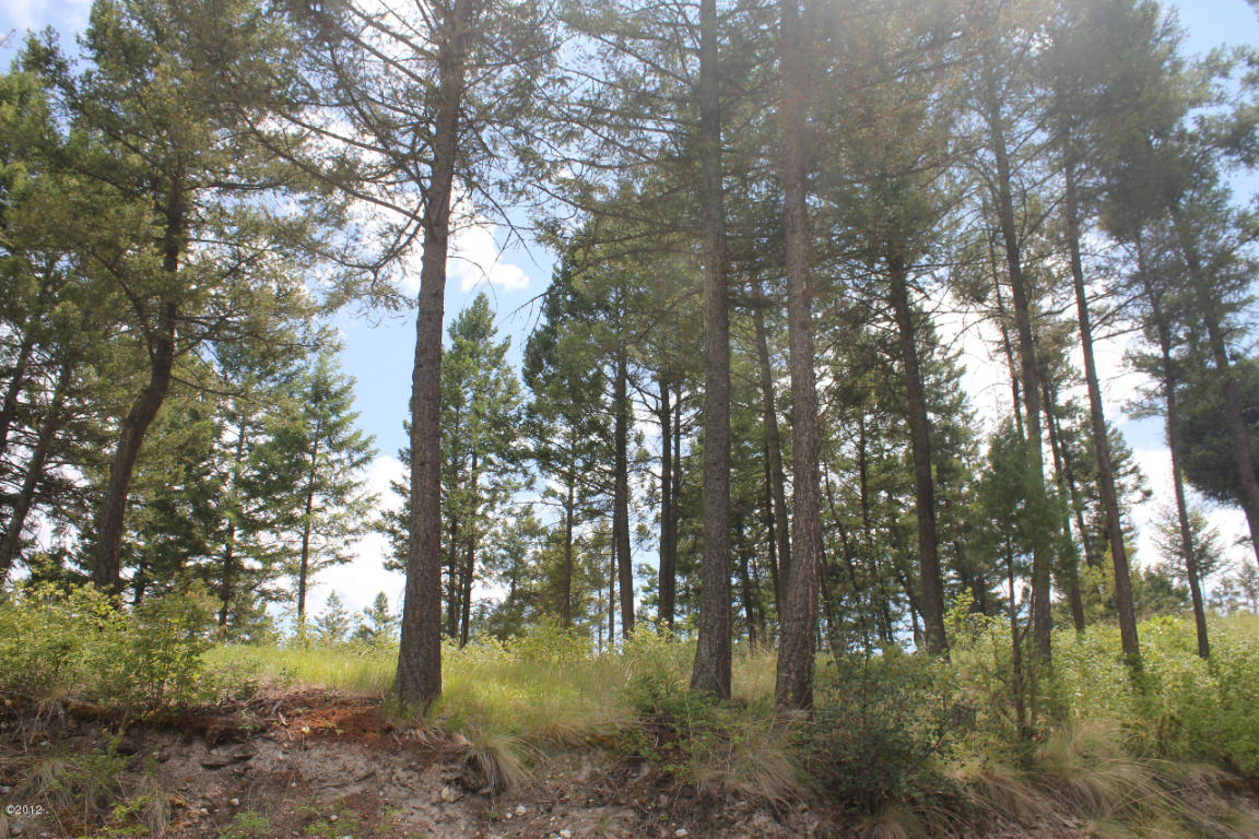 130 Valley Vista Drive, Somers, MT 59932