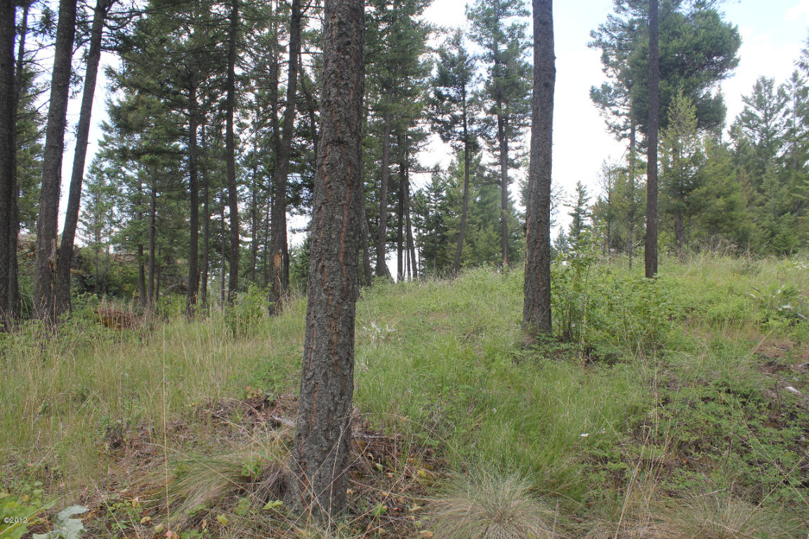130 Valley Vista Drive, Somers, MT 59932