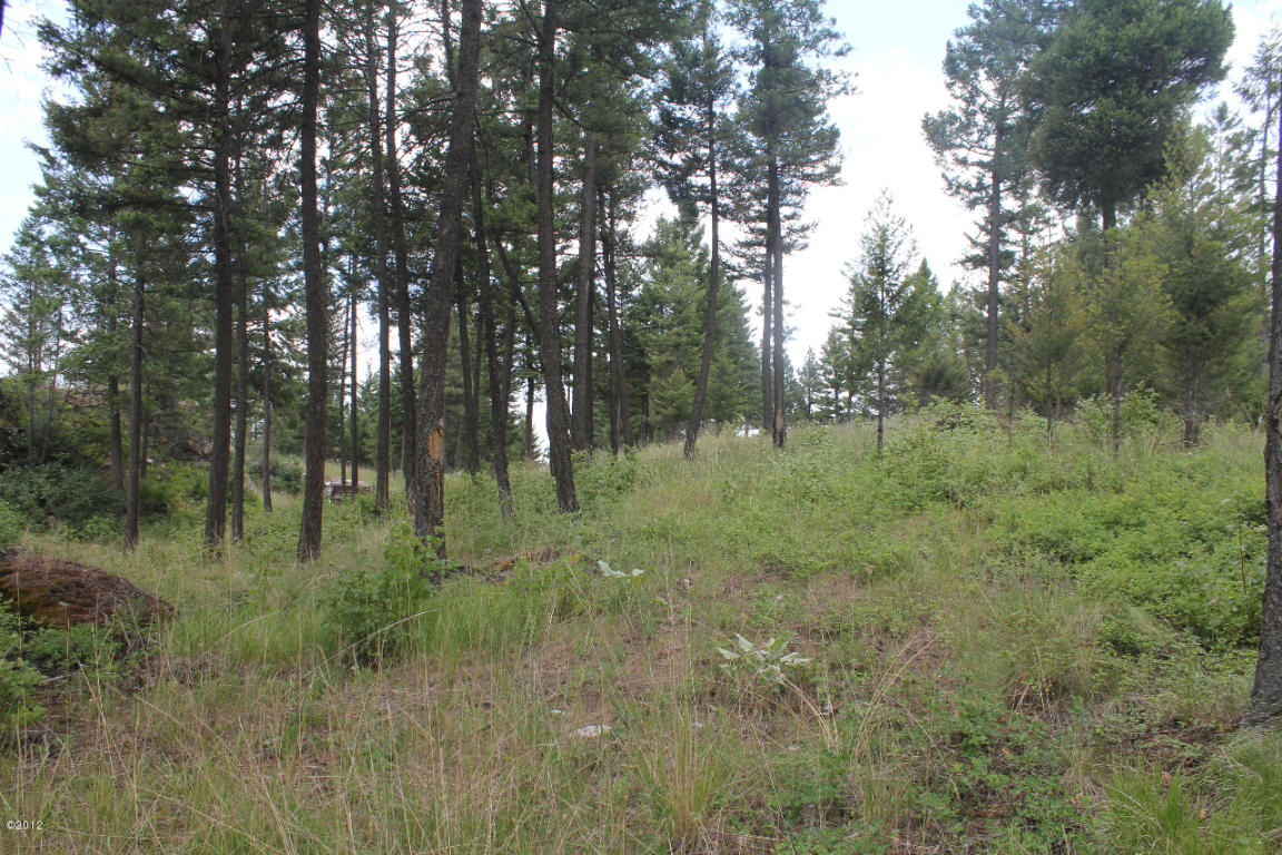 130 Valley Vista Drive, Somers, MT 59932