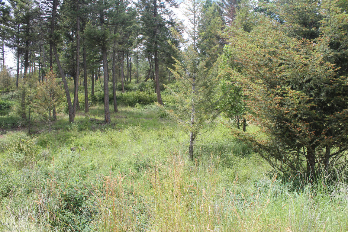 131 Valley Vista Drive, Somers, MT 59932