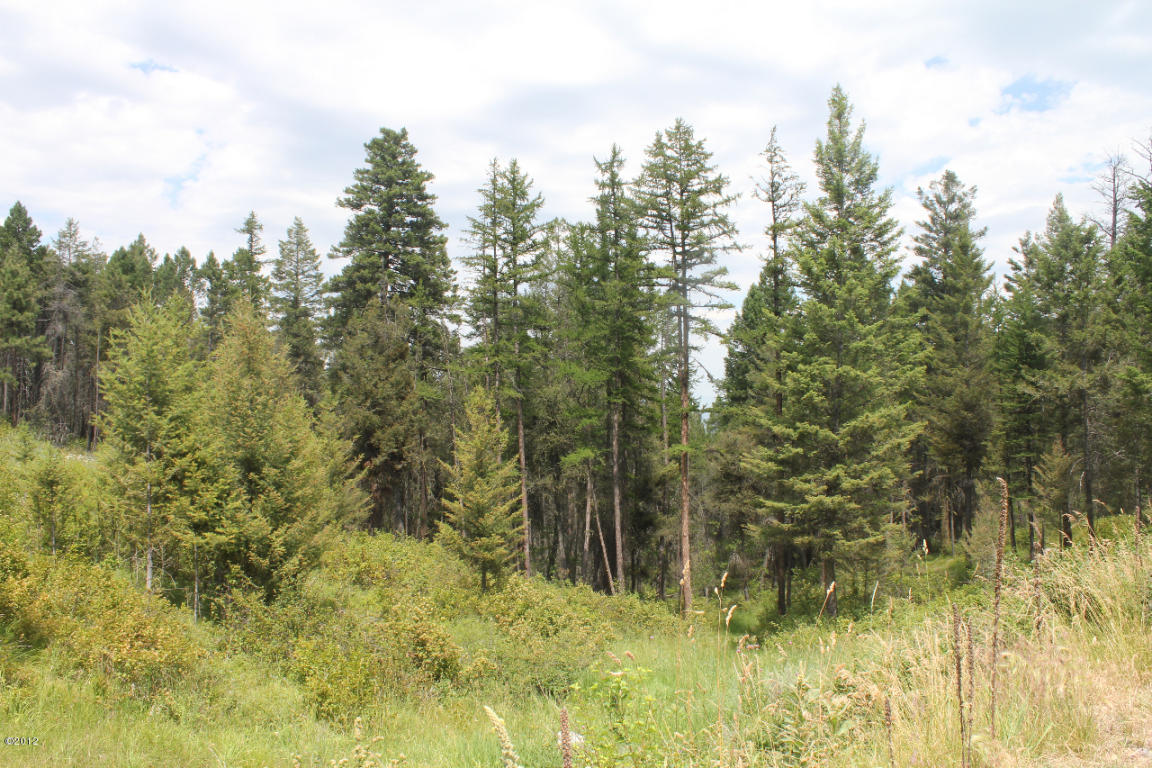 131 Valley Vista Drive, Somers, MT 59932